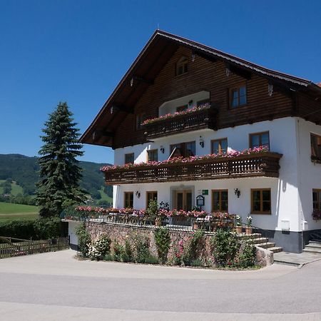 Bauernhof Kasleitner Villa Zell am Moos Luaran gambar