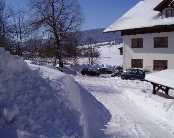 Bauernhof Kasleitner Villa Zell am Moos Luaran gambar