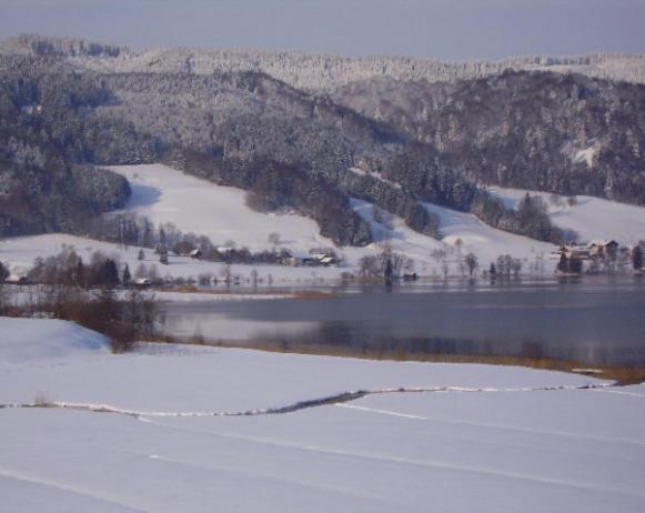Bauernhof Kasleitner Villa Zell am Moos Luaran gambar