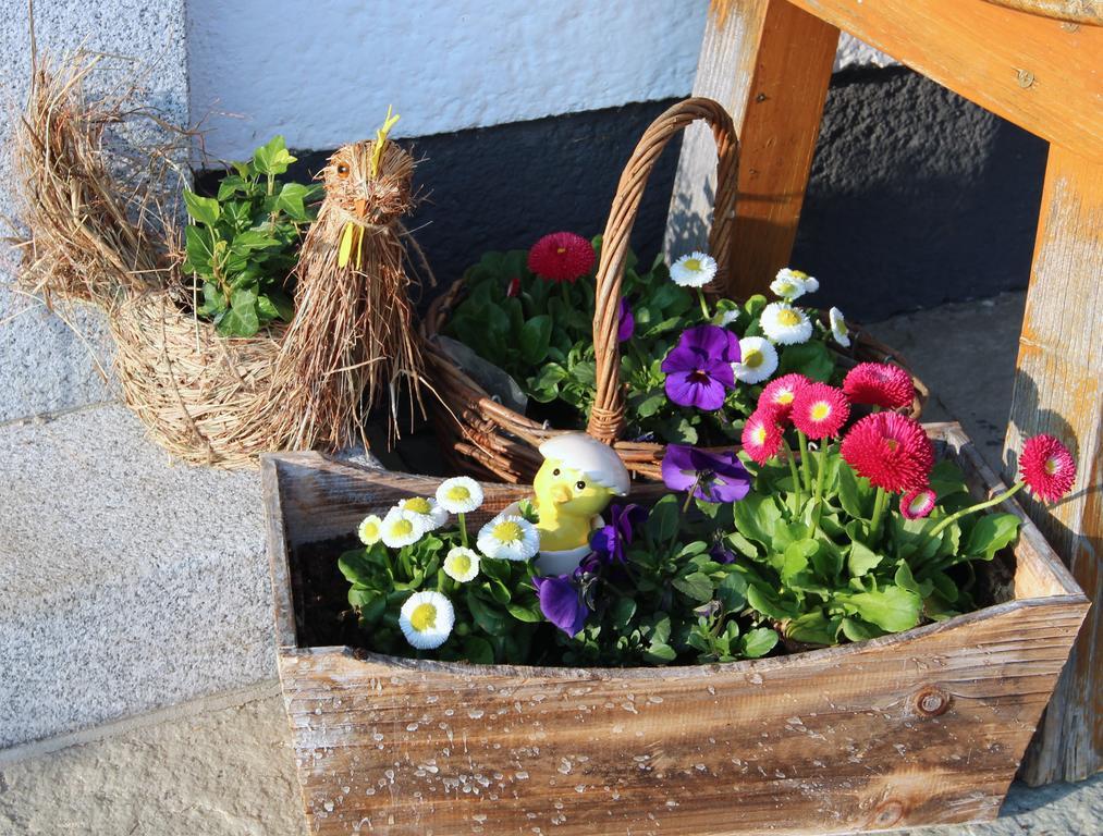 Bauernhof Kasleitner Villa Zell am Moos Luaran gambar
