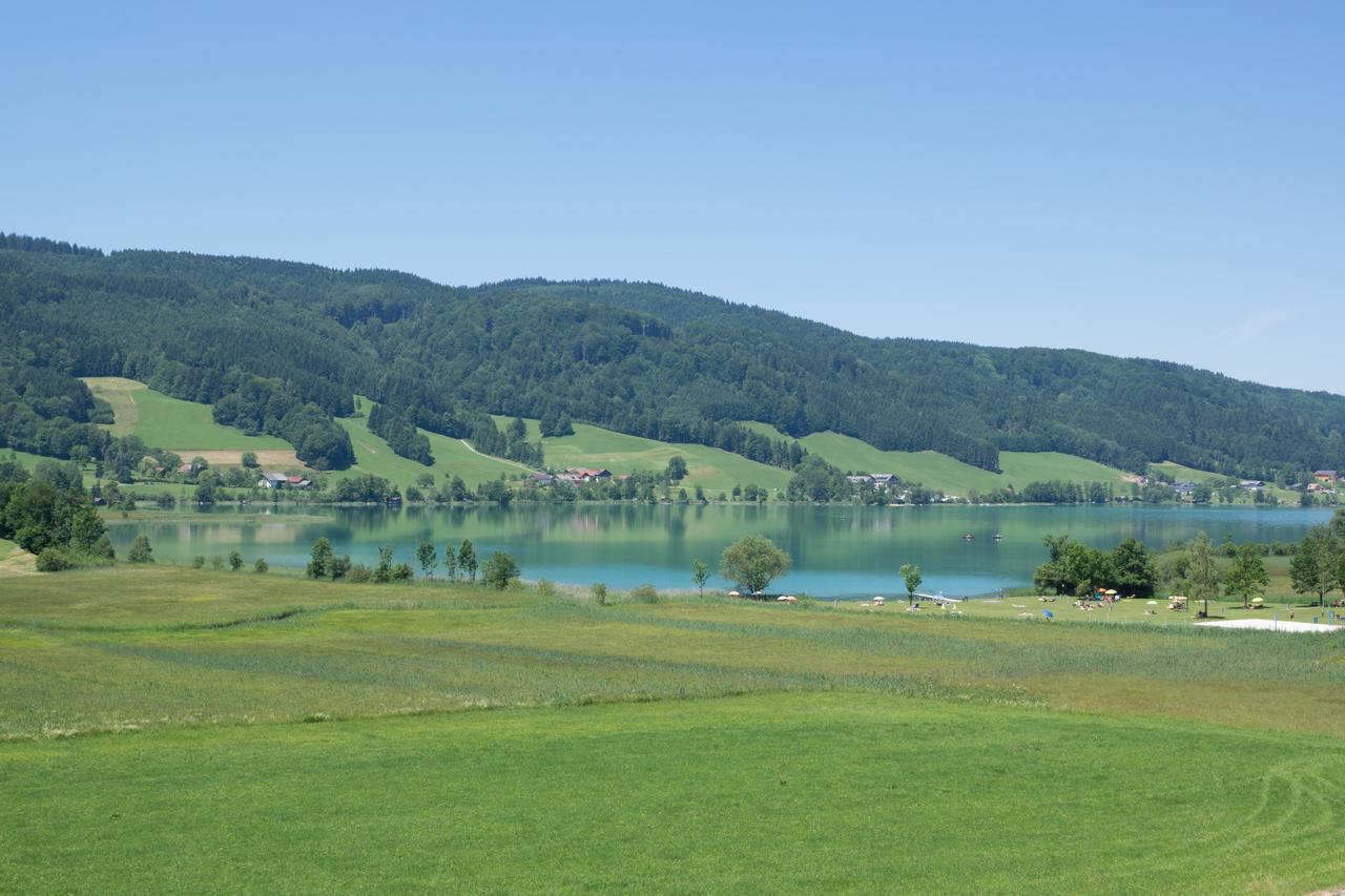 Bauernhof Kasleitner Villa Zell am Moos Luaran gambar