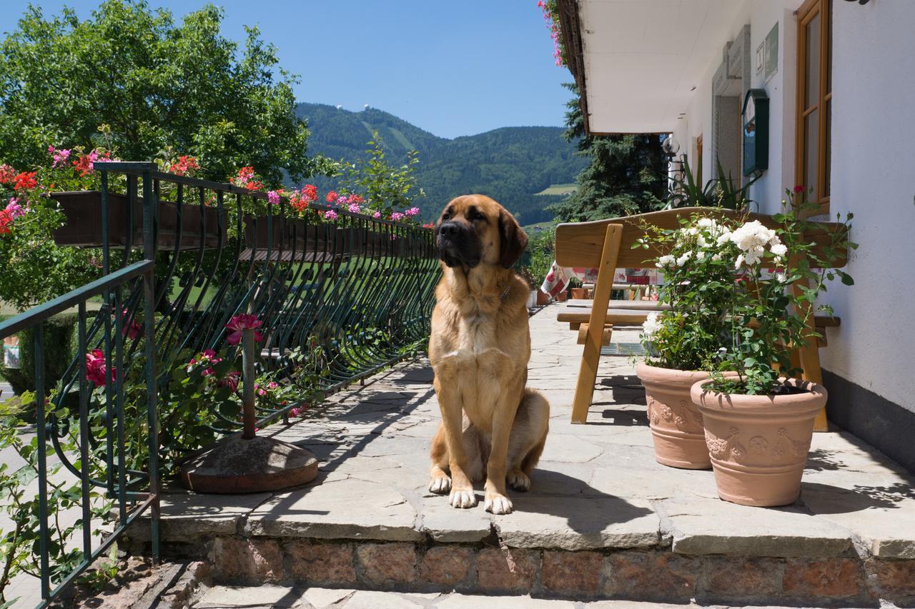 Bauernhof Kasleitner Villa Zell am Moos Luaran gambar