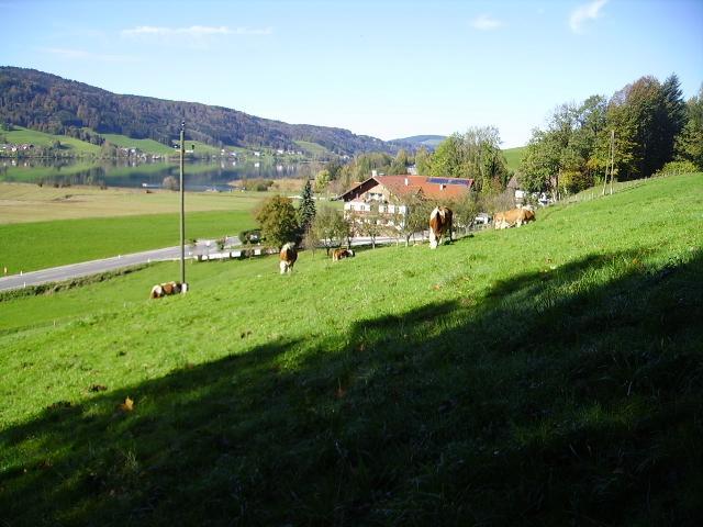 Bauernhof Kasleitner Villa Zell am Moos Luaran gambar
